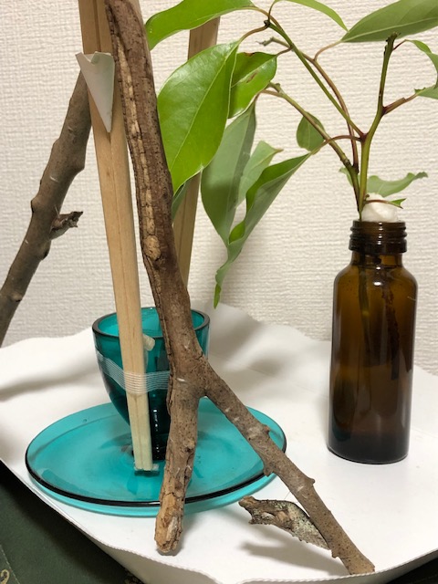 アゲハチョウ蛹