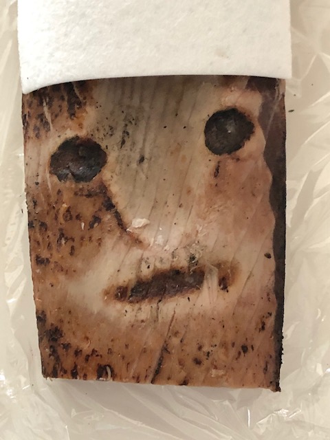 埴輪のようなかつおたたき