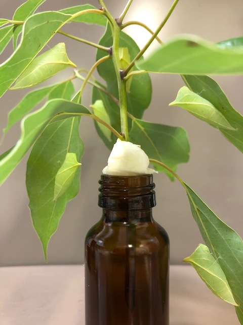 アオスジアゲハ蛹がいるビン刺し