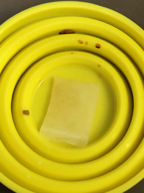 アゲハチョウ成虫の餌