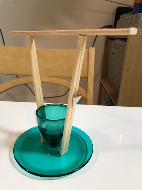 蛹ポケットに入ったモンシロチョウ蛹