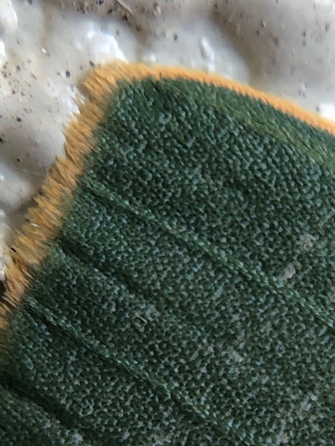 クスアオシャクの翅拡大写真