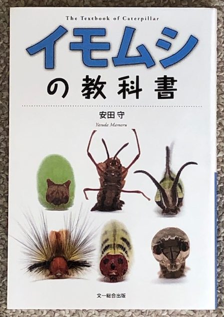 イモムシの教科書表紙の写真