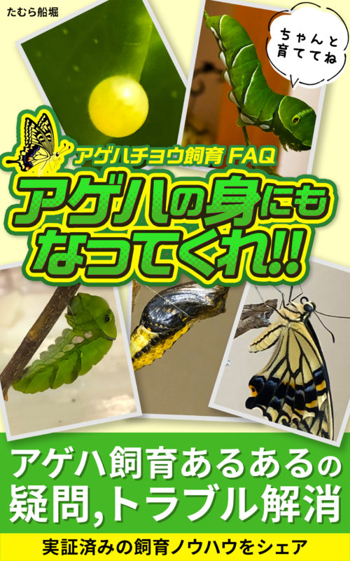 Kindle本アゲハの身にもなってくれ‼