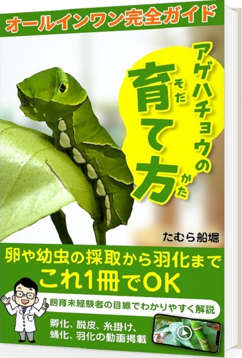 Kindle本アゲハチョウの育て方