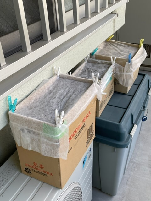 越冬蛹を入れたダンボール箱