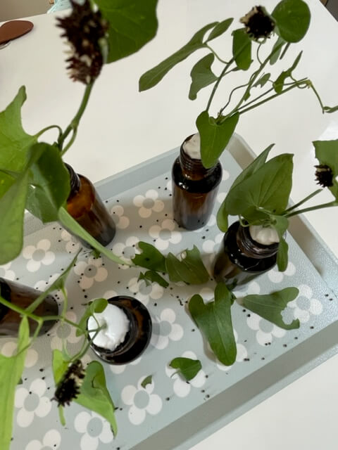 葉っぱを無駄に切り落とすジャコウアゲハの幼虫